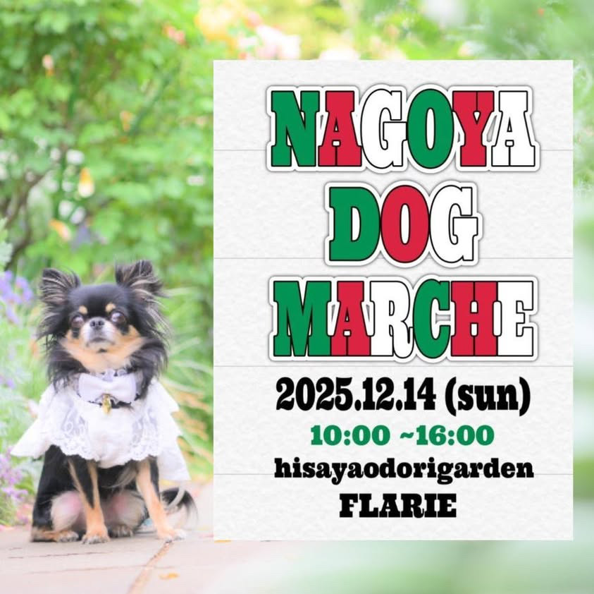 12/14　久屋大通庭園フラリエ　 NAGOYA DOG MARCHE